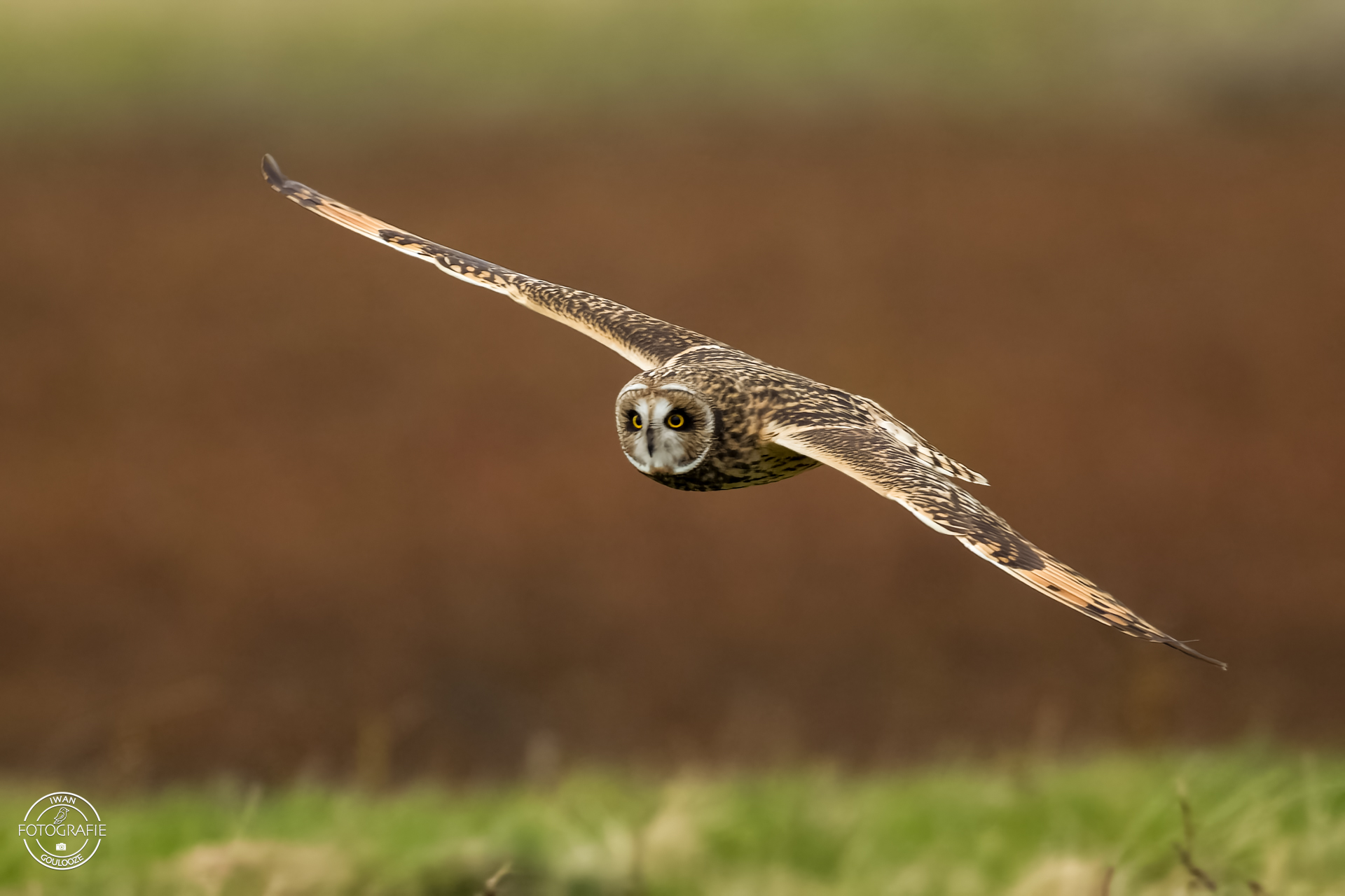 15 oktober 2022 163400 1R2A8909 bewerkt